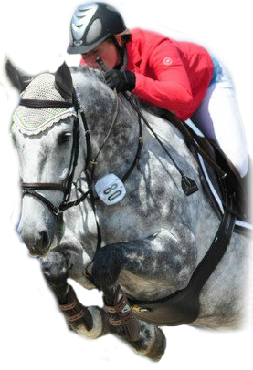 JK stable